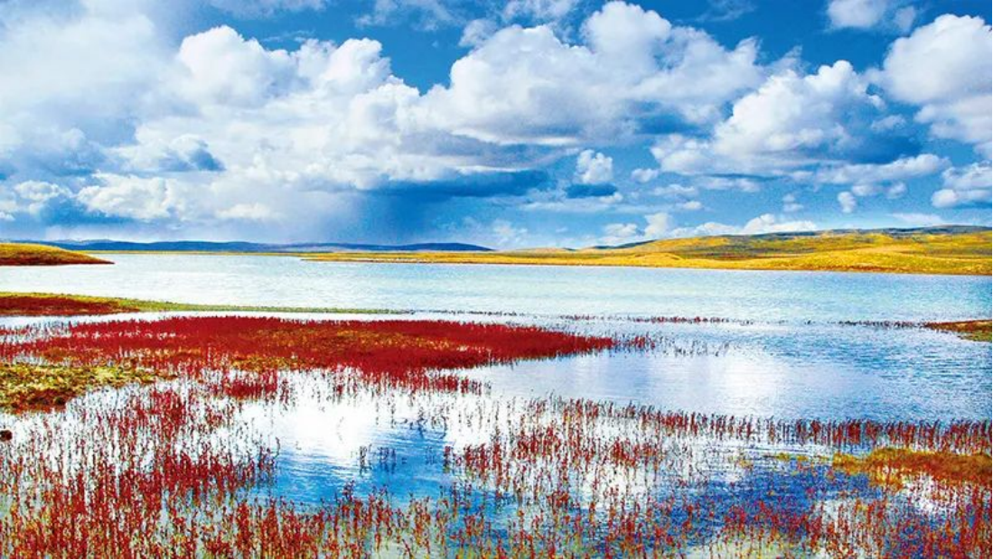 ed_1647827066414275.jpg 3.13行业动态图片3.jpg