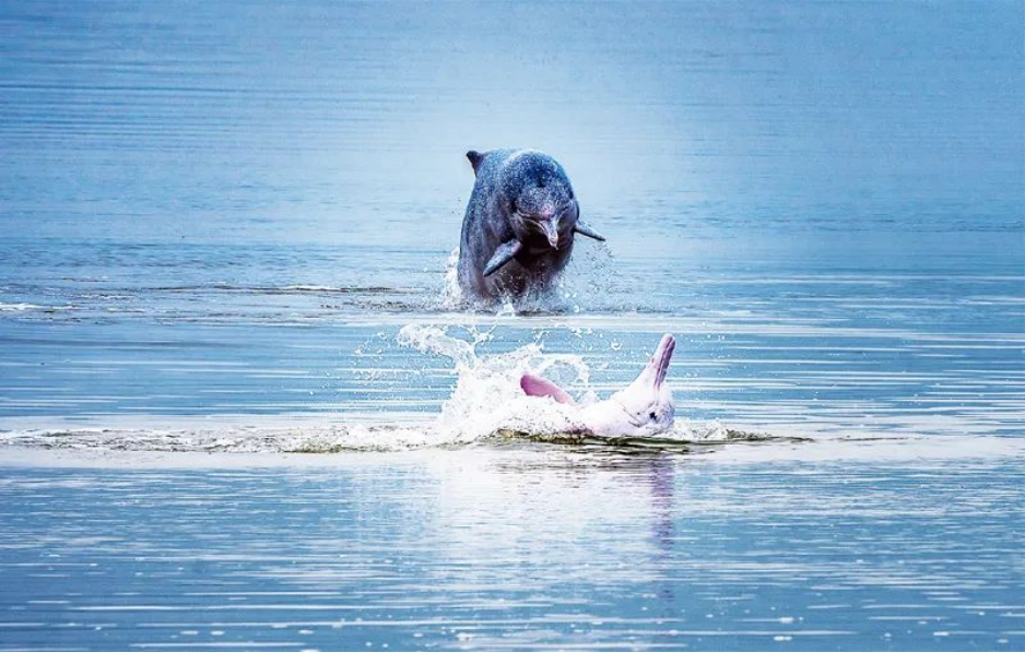 ed_1647827189119530.jpg 3.13行业动态图片5.jpg