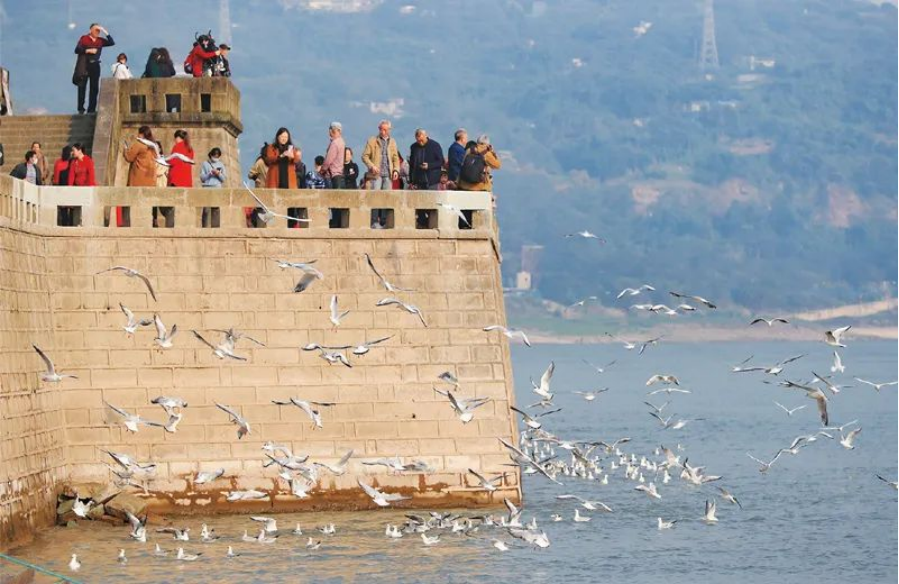 ed_1647827268571534.jpg 3.13行业动态图片7.jpg