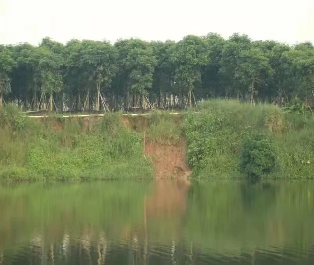 ed_1655773524332657.png image.png