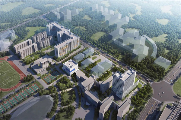 ed_1656897344647025.png image.png