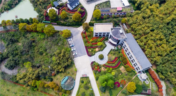 ed_1658286078569854.png image.png