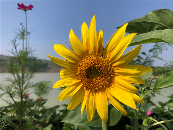 1704677611787236.jpg 微信图片_20240108092602.jpg