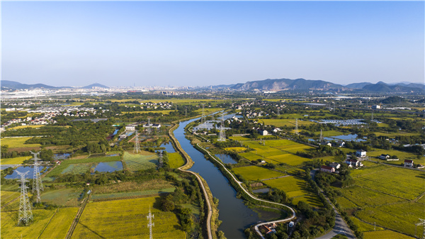 1731395157349327.jpg 千库网_浙江湖州秋季稻田航拍 万亩良田 乡村振兴_摄影图编号21118604.jpg