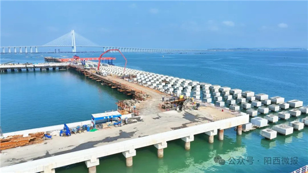 1733816482359213.jpg 微信图片_20241210154012.jpg