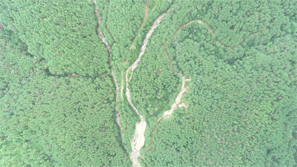 1734414910309181.jpg 现场相 (1) (1).jpg