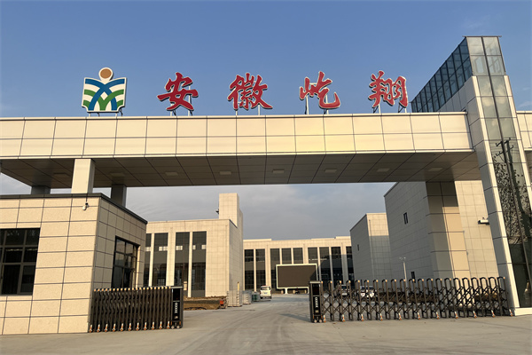 1735024774996079.jpg 1.jpg